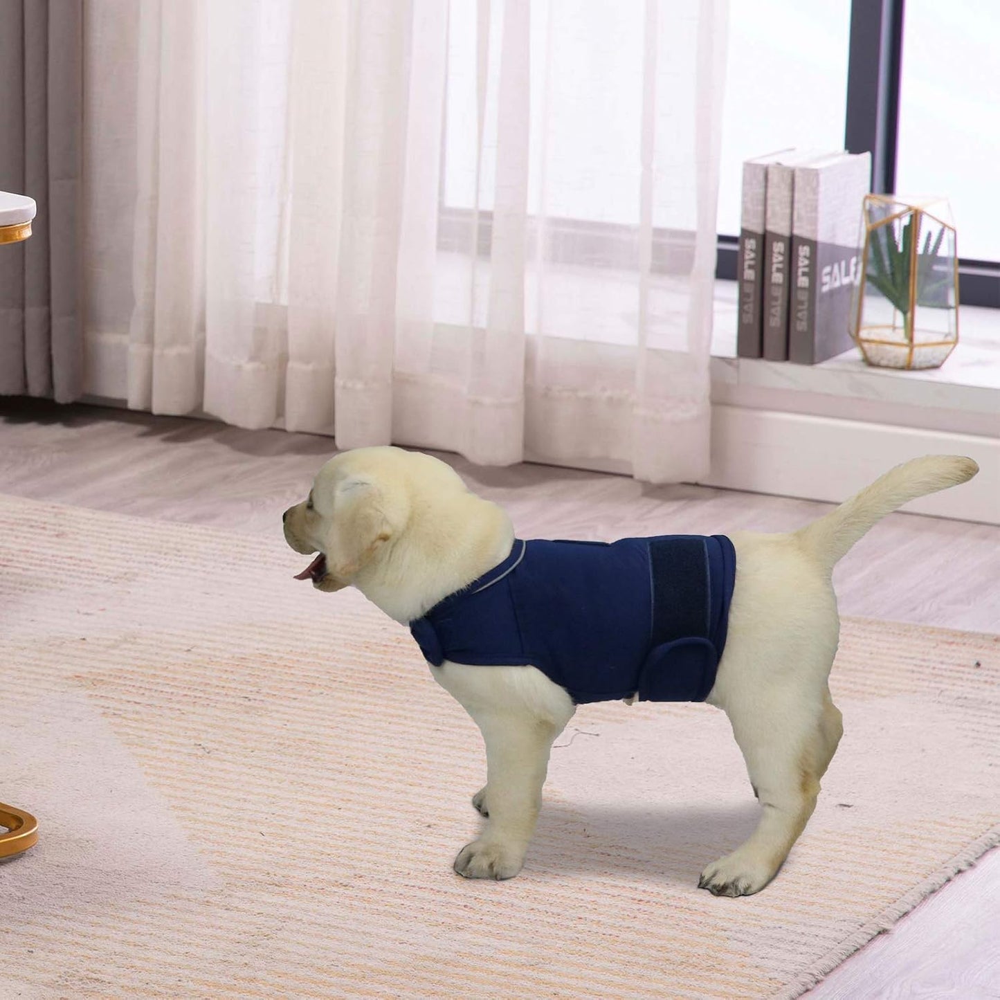 Comfort Dog Anxiety Relief Coat, Dog Anxiety Calming Vest Wrap for Thunderstorm,Travel,4Th of July Fireworks,Vet Visits,Separation Anxiety Relief for Dogs (S,Navy)